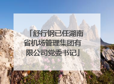 舒行钢已任湖南省机场管理集团有限公司党委书记