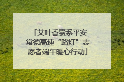 艾叶香囊系平安 常德高速“路灯”志愿者端午暖心行动