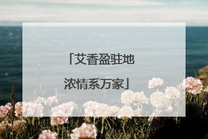 艾香盈驻地 浓情系万家