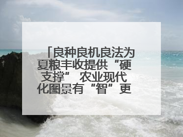 良种良机良法为夏粮丰收提供“硬支撑” 农业现代化图景有“智”更有“质”
