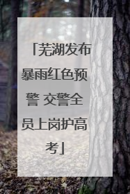芜湖发布暴雨红色预警 交警全员上岗护高考