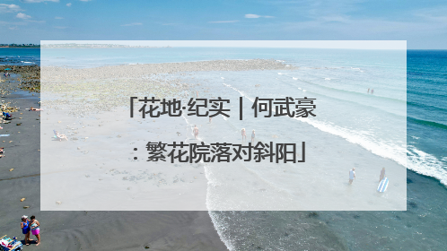 花地·纪实｜何武豪：繁花院落对斜阳