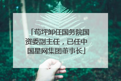 苟坪卸任国务院国资委副主任，已任中国星网集团董事长