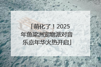萌化了！2025年鱼梁洲宠物派对音乐嘉年华火热开启
