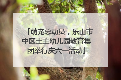 萌宠总动员，乐山市中区土主幼儿园教育集团举行庆六一活动