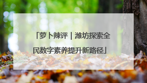 萝卜辣评｜潍坊探索全民数字素养提升新路径