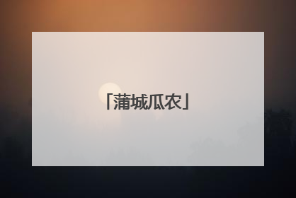 蒲城瓜农