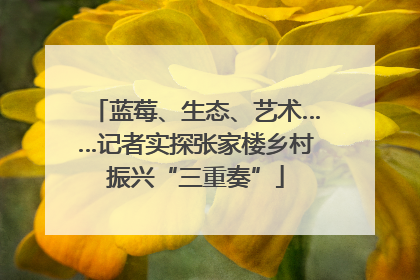 蓝莓、生态、艺术……记者实探张家楼乡村振兴“三重奏”