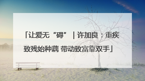 让爱无“碍”｜许加良：重疾致残始种藕 带动致富靠双手