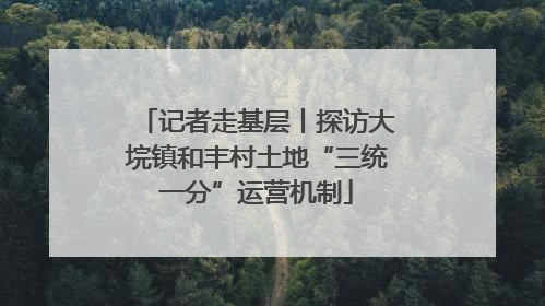 记者走基层丨探访大垸镇和丰村土地“三统一分”运营机制
