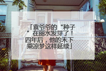 袁爷爷的“种子”在丽水发芽了！四年后，他的禾下乘凉梦这样延续