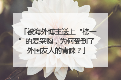 被海外博主送上“榜一”的爱采购，为何受到了外国友人的青睐？