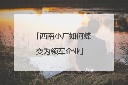 西南小厂如何蝶变为领军企业