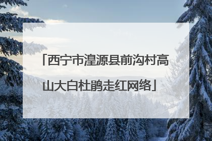 西宁市湟源县前沟村高山大白杜鹃走红网络