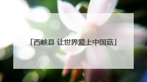 西峡县 让世界爱上中国菇