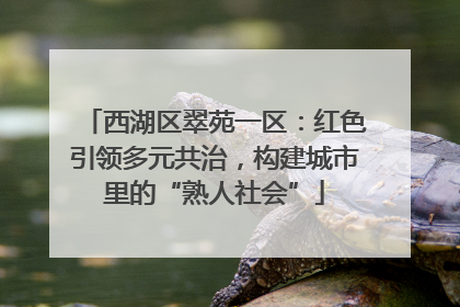 西湖区翠苑一区：红色引领多元共治，构建城市里的“熟人社会”