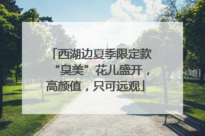 西湖边夏季限定款“臭美”花儿盛开，高颜值，只可远观