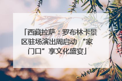 西藏拉萨：罗布林卡景区驻场演出周启动 “家门口”享文化盛宴
