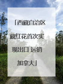 西藏自治区藏红花首次实现出口 远销加拿大