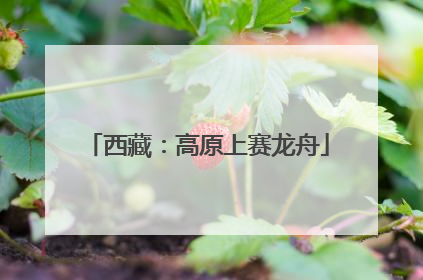 西藏：高原上赛龙舟