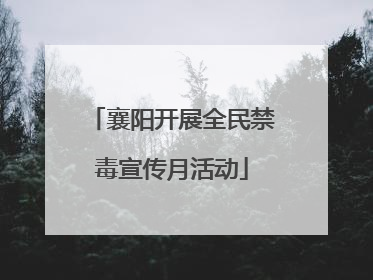 襄阳开展全民禁毒宣传月活动
