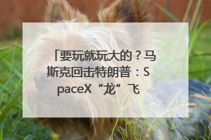 要玩就玩大的？马斯克回击特朗普：SpaceX“龙”飞船将立即退役！