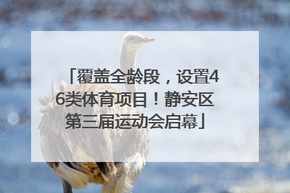 覆盖全龄段，设置46类体育项目！静安区第三届运动会启幕