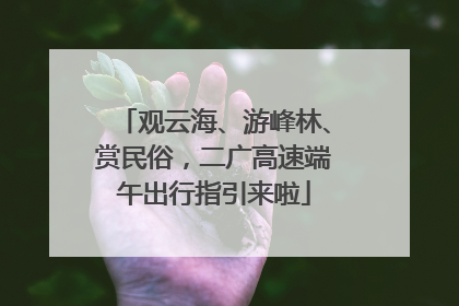观云海、游峰林、赏民俗，二广高速端午出行指引来啦