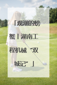 观潮的螃蟹丨湖南工程机械“双城记”