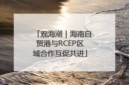观海潮｜海南自贸港与RCEP区域合作互促共进