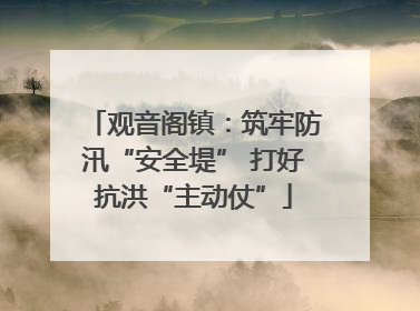 观音阁镇：筑牢防汛“安全堤” 打好抗洪“主动仗”