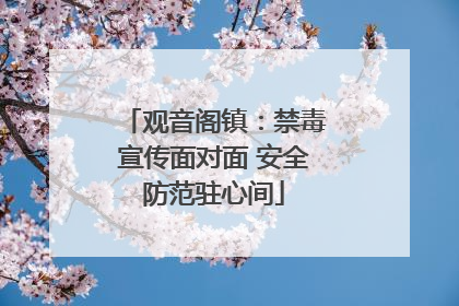 观音阁镇：禁毒宣传面对面 安全防范驻心间