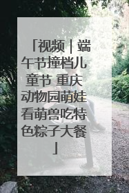 视频｜端午节撞档儿童节 重庆动物园萌娃看萌兽吃特色粽子大餐