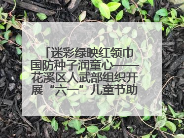 迷彩绿映红领巾 国防种子润童心——花溪区人武部组织开展“六一”儿童节助学兴教活动