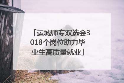 运城师专双选会3018个岗位助力毕业生高质量就业