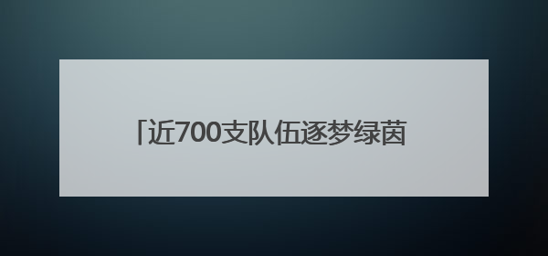 近700支队伍逐梦绿茵 合肥市青少年足球联赛启幕