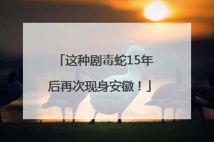 这种剧毒蛇15年后再次现身安徽！