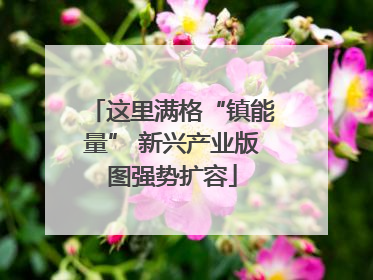 这里满格“镇能量” 新兴产业版图强势扩容