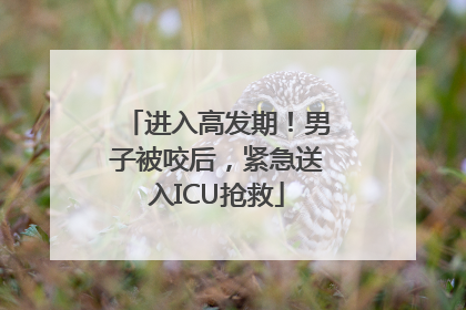 进入高发期！男子被咬后，紧急送入ICU抢救