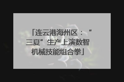 连云港海州区：“三夏”生产上演数智机械技能组合拳