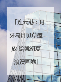 连云港：月牙岛月见草盛放 绘就初夏浪漫画卷