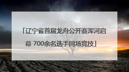 辽宁省首届龙舟公开赛浑河启幕 700余名选手同场竞技