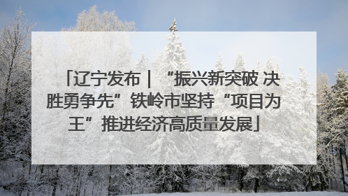 辽宁发布｜“振兴新突破 决胜勇争先”铁岭市坚持“项目为王”推进经济高质量发展