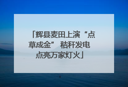 辉县麦田上演“点草成金” 秸秆发电点亮万家灯火