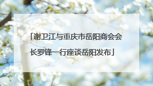 谢卫江与重庆市岳阳商会会长罗锋一行座谈岳阳发布