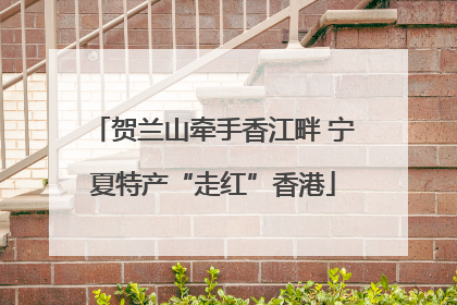 贺兰山牵手香江畔 宁夏特产“走红”香港