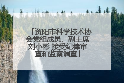资阳市科学技术协会党组成员、副主席刘小彬 接受纪律审查和监察调查
