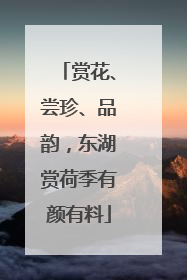 赏花、尝珍、品韵，东湖赏荷季有颜有料
