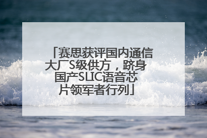 赛思获评国内通信大厂S级供方，跻身国产SLIC语音芯片领军者行列