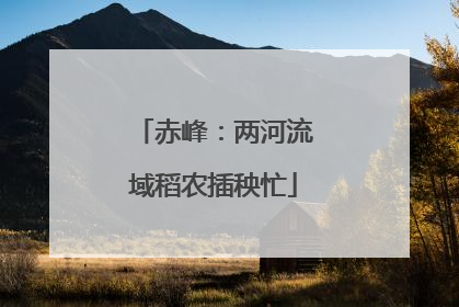 赤峰：两河流域稻农插秧忙